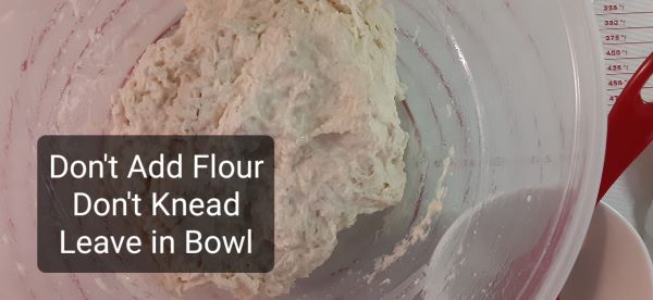 Dough is Mixed, leave in bowl